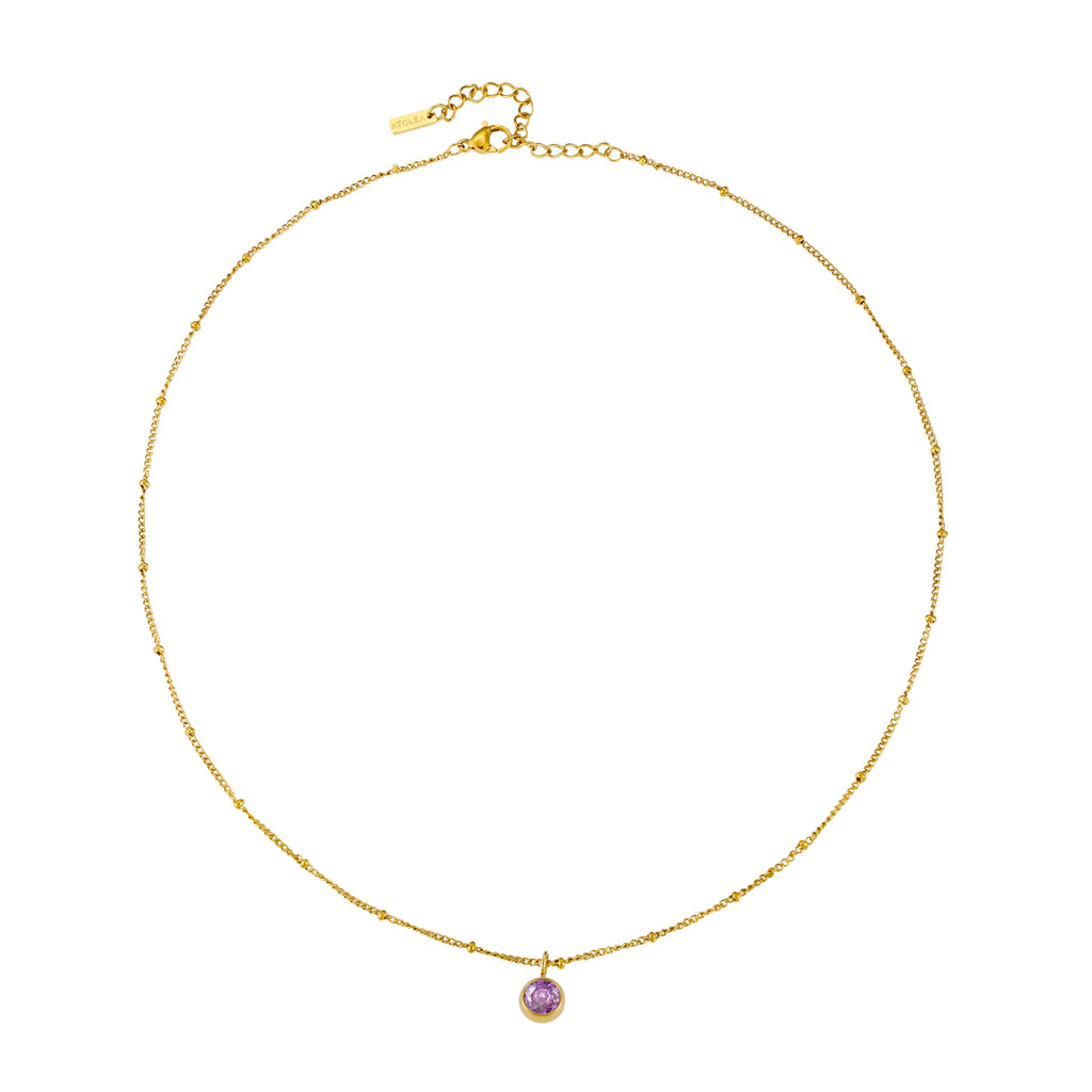 Birthstone Necklace February