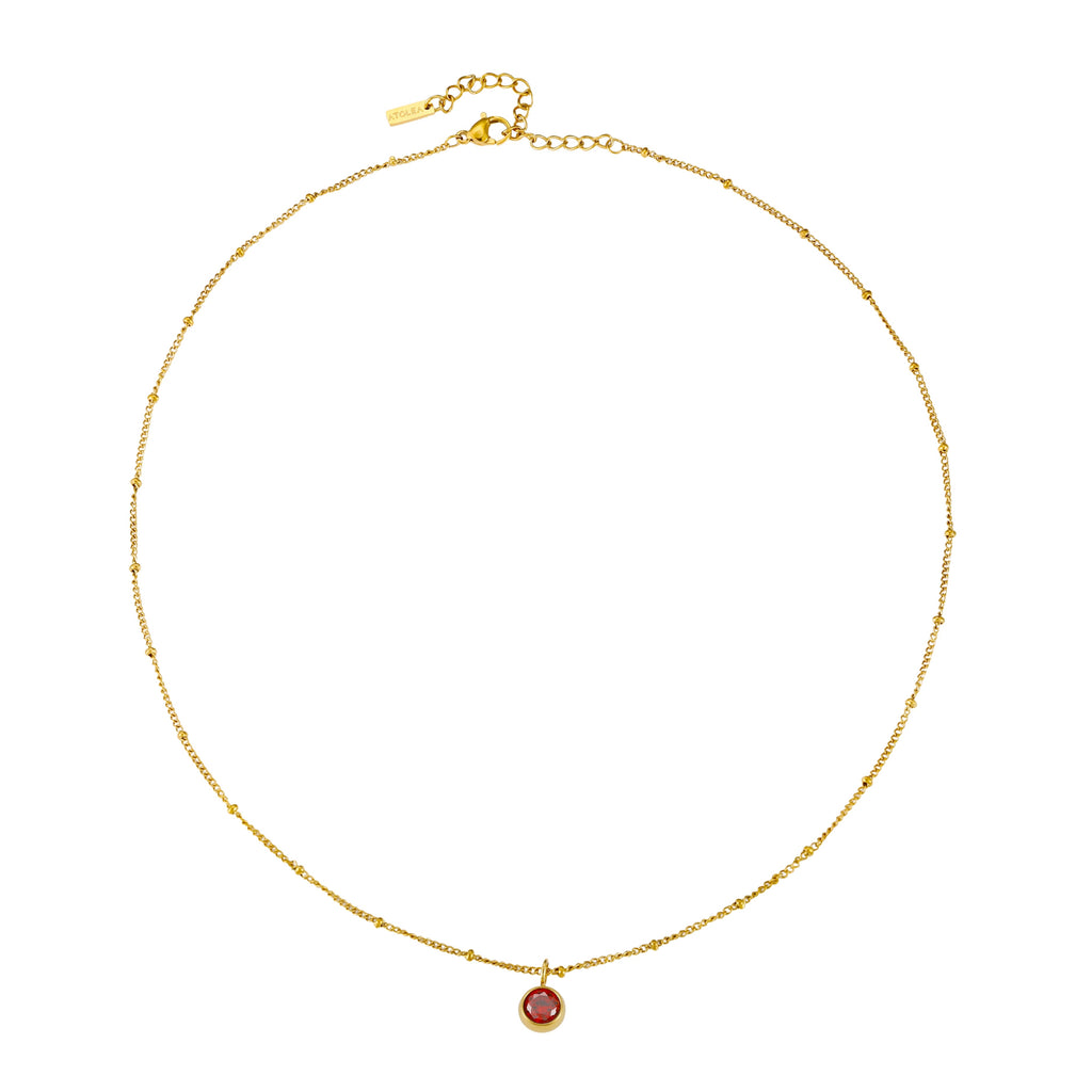 Birthstone Necklace January