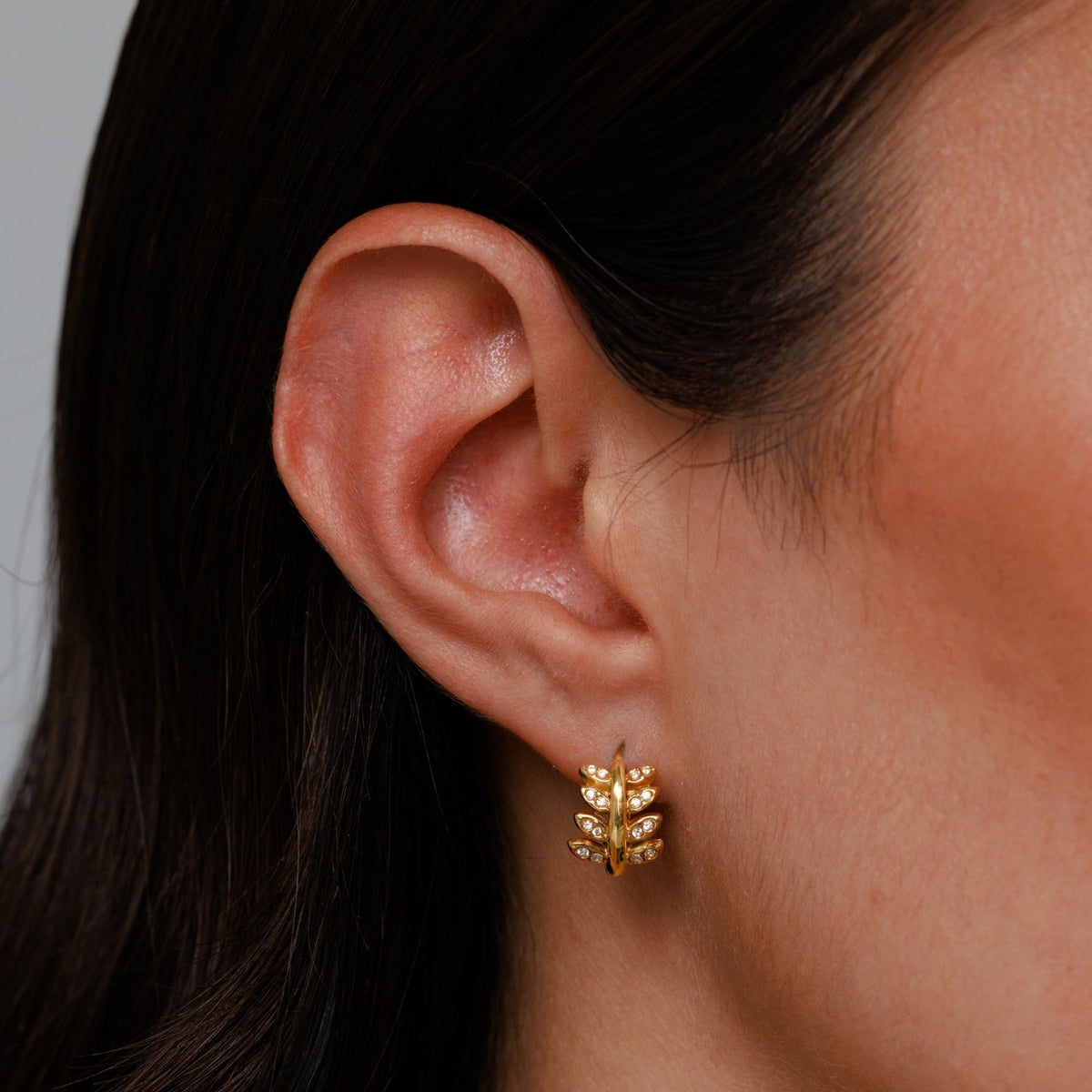 Front Laurel Earrings