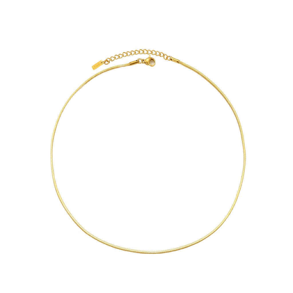 Golden Fine Choker