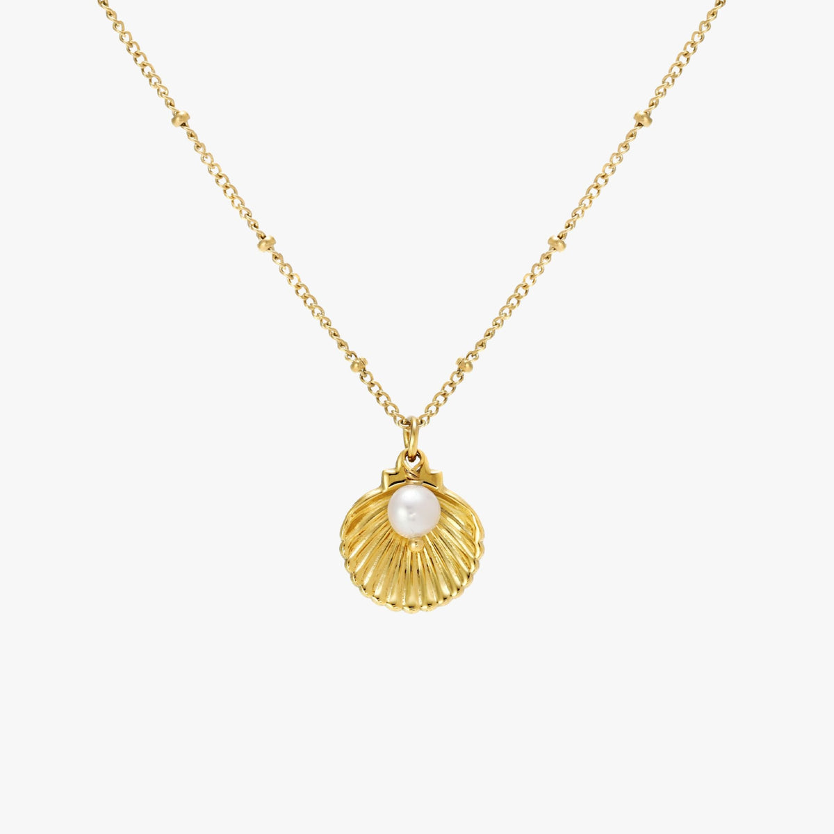 Pearl Conch Necklace
